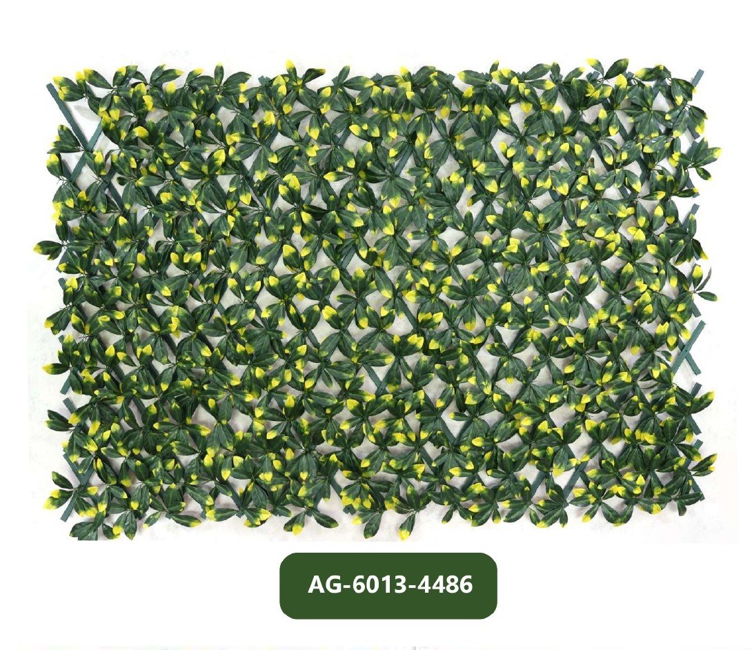 AG-6013-4486