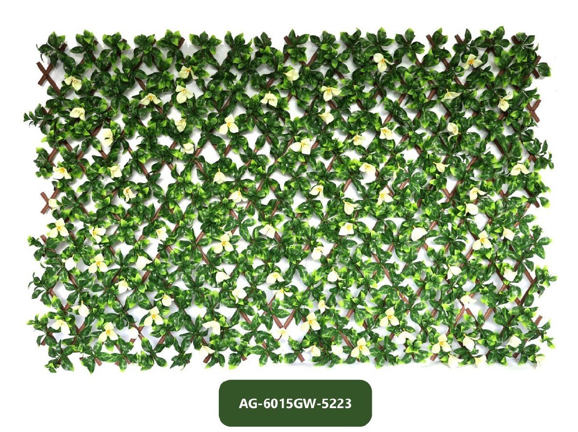AG-6015GW-5223
