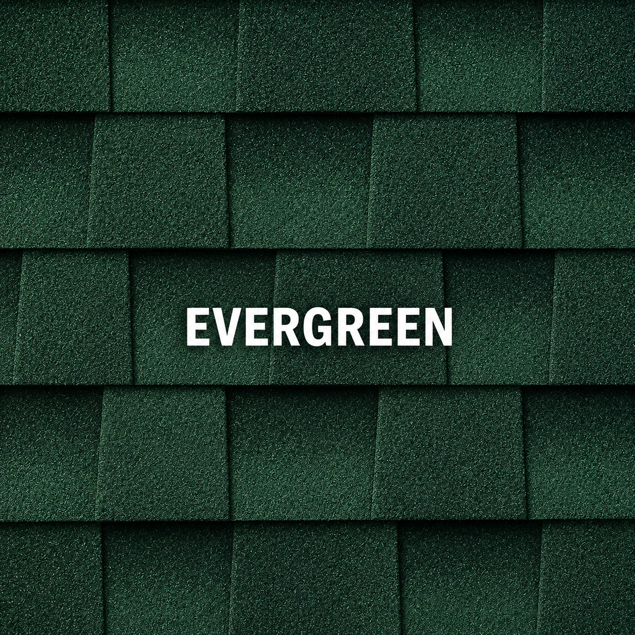 Evergreen Shingles