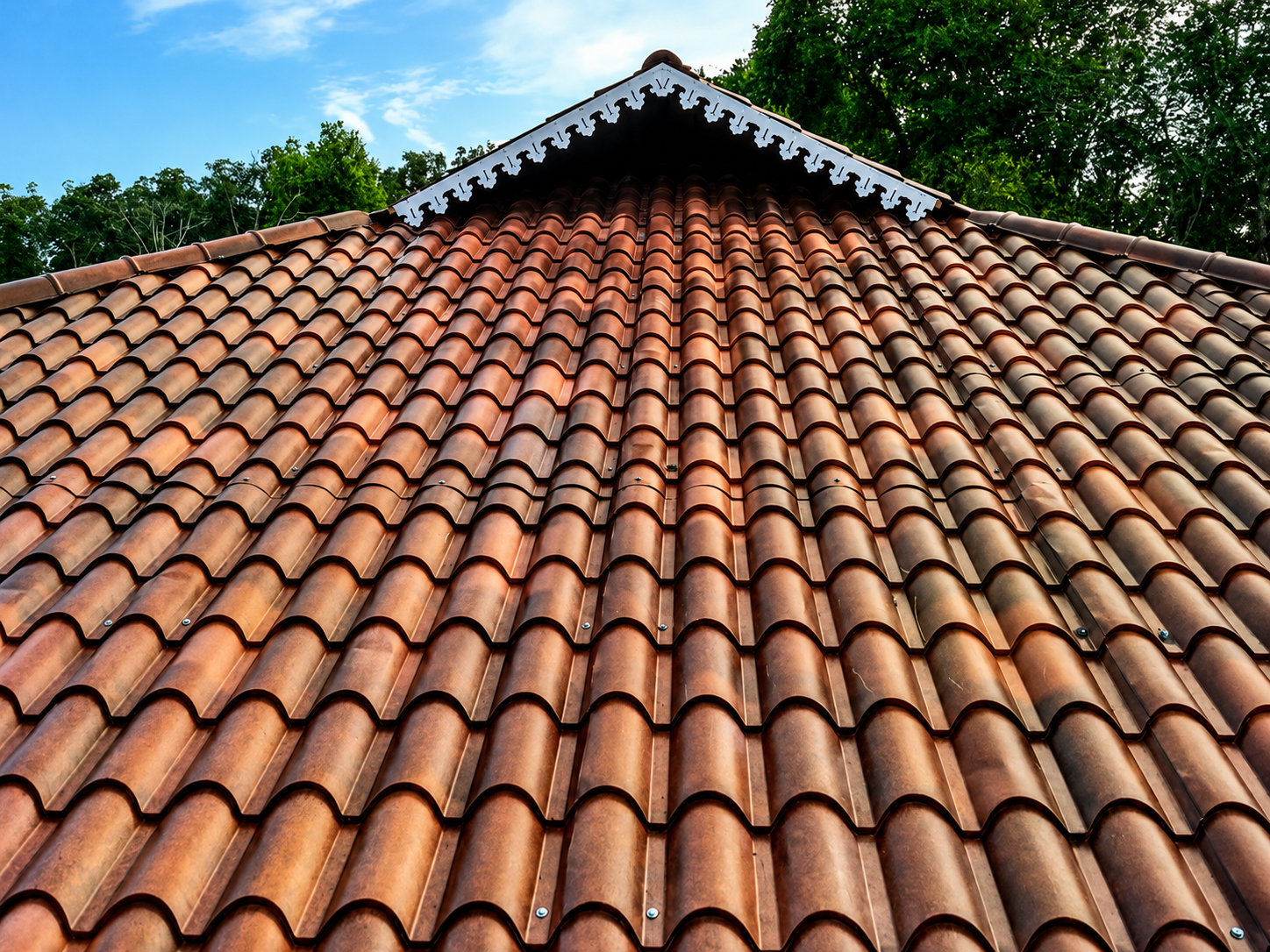 Angle View