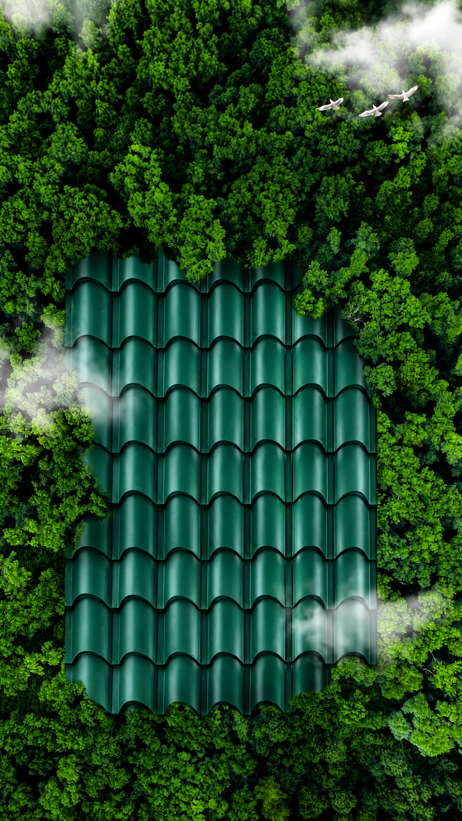 Texture View