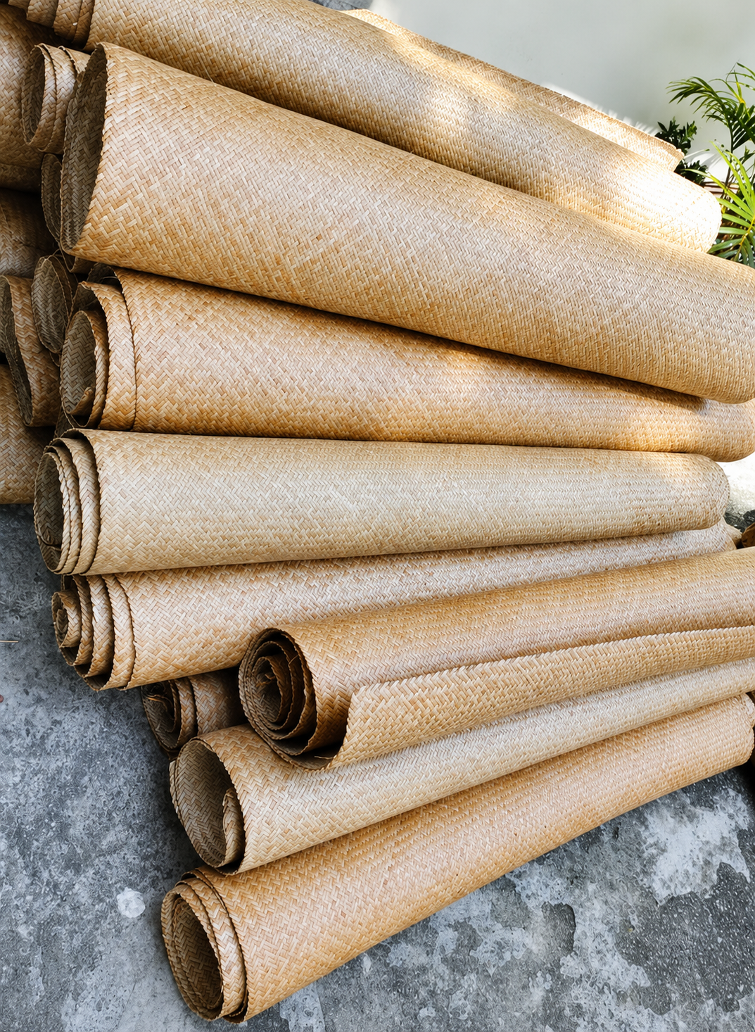 Mota Pati Cane Weaving